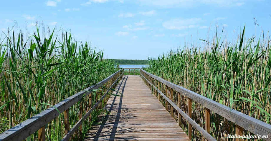 Lago eutrofico in Polonia