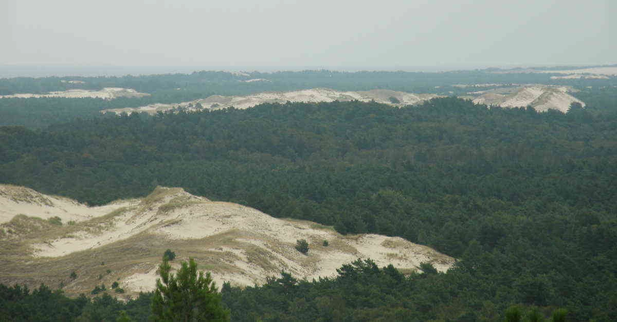 Dune mobili - vista dal faro di Smołdzino