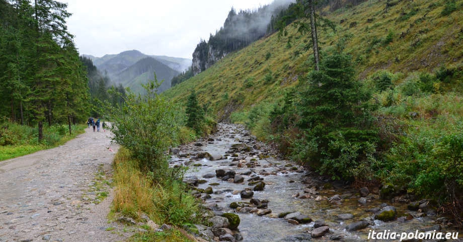 Dolina Chochołowska - Sentiero e torrente sui Monti Tatra